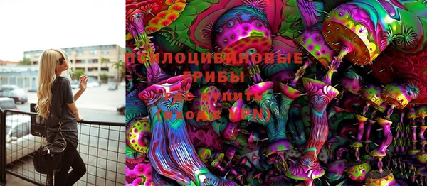 прущие грибы Аркадак