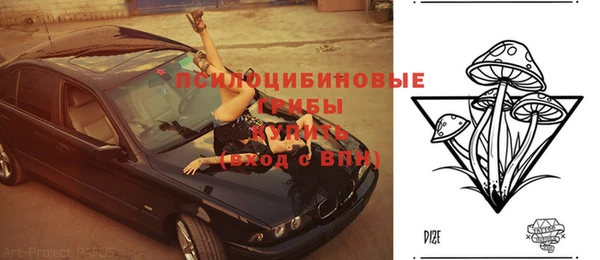молекула духа Армянск