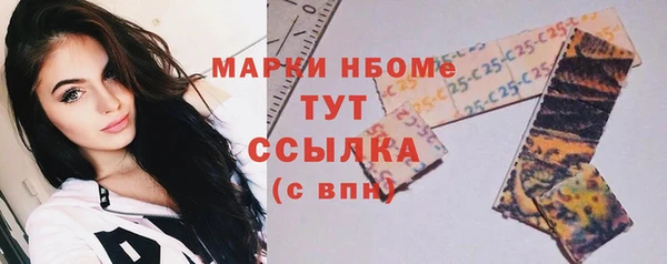 прущие грибы Аркадак