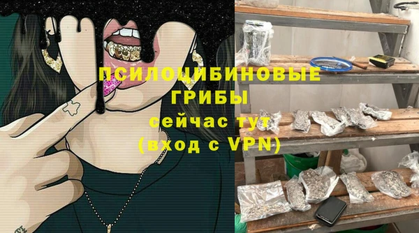 дмт Осташков