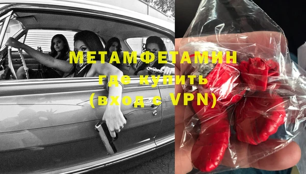 прущие грибы Аркадак