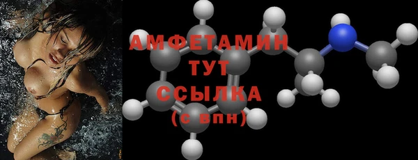 прущие грибы Аркадак