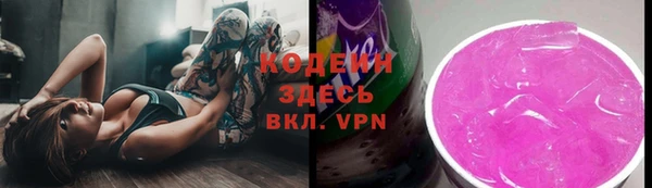 прущие грибы Аркадак