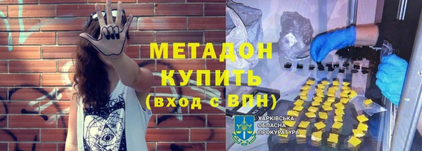прущие грибы Аркадак