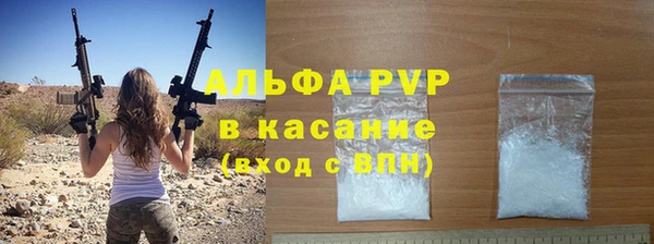 прущие грибы Аркадак