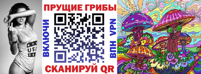 Псилоцибиновые грибы Psilocybe  где найти наркотики  гидра зеркало  Ахтубинск 